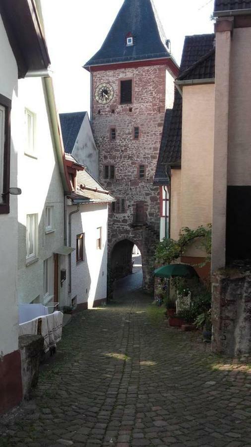 Neckarblick,Natur, Altstadt Apartment Hirschhorn Exterior photo