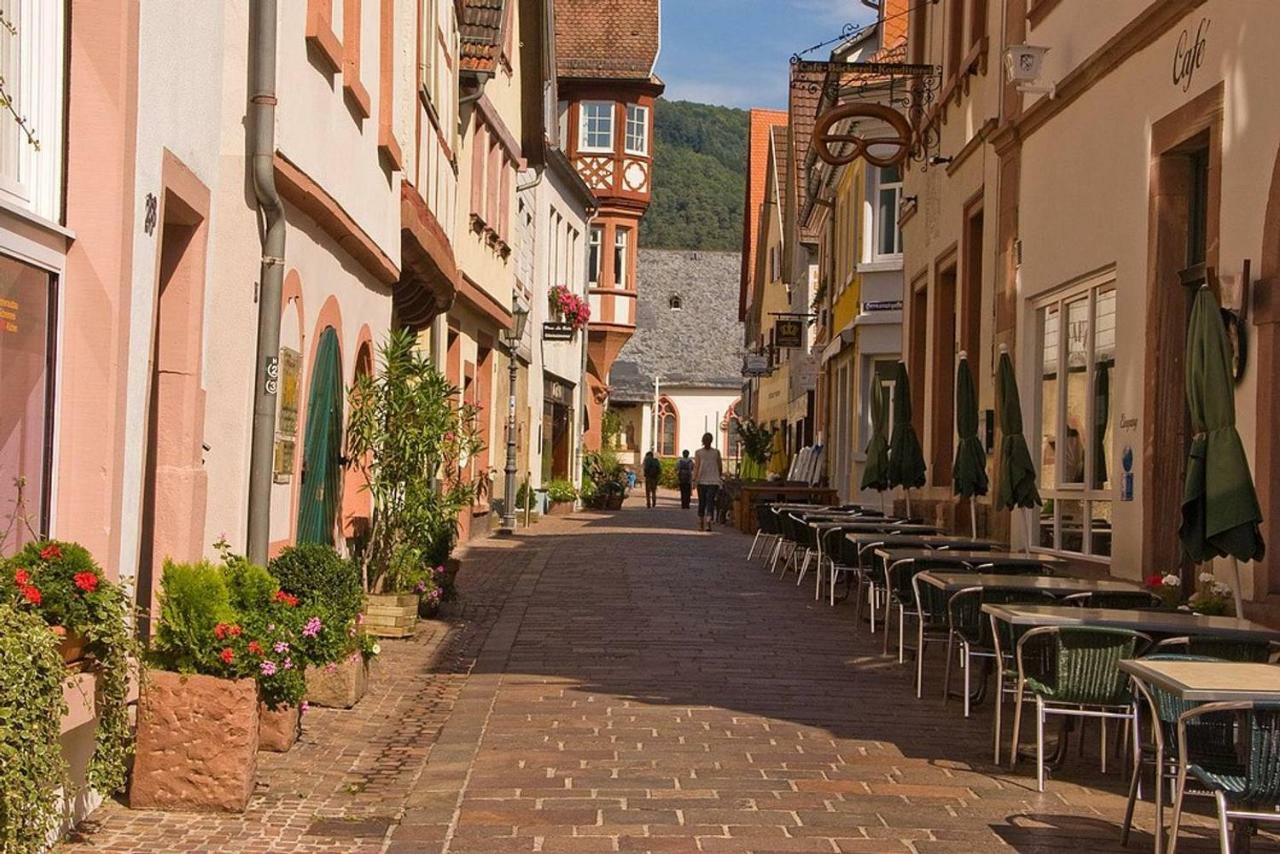 Neckarblick,Natur, Altstadt Apartment Hirschhorn Exterior photo