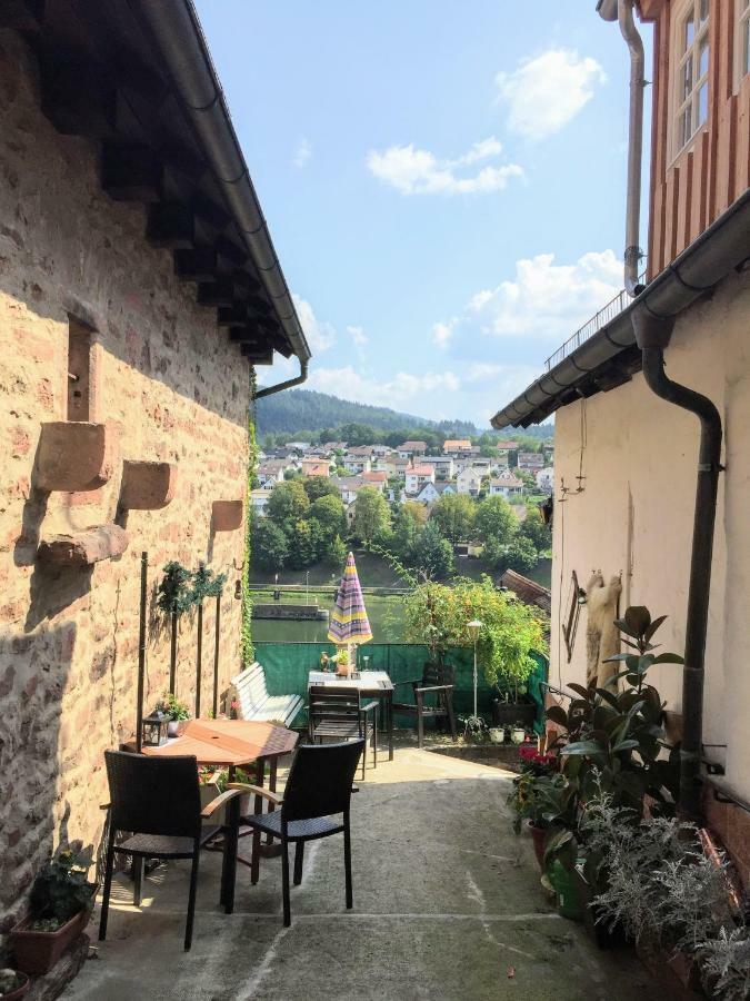 Neckarblick,Natur, Altstadt Apartment Hirschhorn Exterior photo